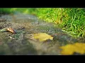 Classical music - Friend of Mine - Johannes Bornlöf - Storty ,  Beautiful piano music, Clam Relax