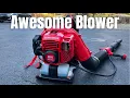 After 20 Years of Blowing Leaves Here s What Shocked Me