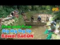 267 : semua kewalahan, senar pada putus karena kolam kecil‼️mancing bawal babon 2kg 4kg 9kg Up