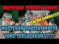 Download Lagu Masteran Tengkek Undang Gacor Jernih 2020