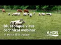 Bluetongue virus update - 11 March 2026 A B Webinar