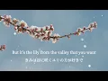 Schld - she likes spring, i prefer winter (Lyrics in English & Japanese)