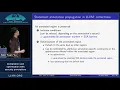 2019 EuroLLVM Developers Meeting S Vu Compilation and optimization with security annotations