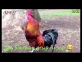 Download Lagu Grup sepi