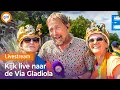 Download Lagu Intocht Nijmeegse Vierdaagse 2025