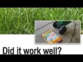 Did Scotts SummerGuard Save My Lawn or Waste My Money