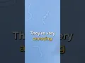 What are Eye Floaters and why do you see them