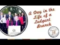 A Day in the Life of a Ledgent Finance Accounting Branch