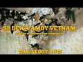 Download Lagu sp dewa amoy vietnam  mantap responnya cocok di daerah perang suara dan lintasan