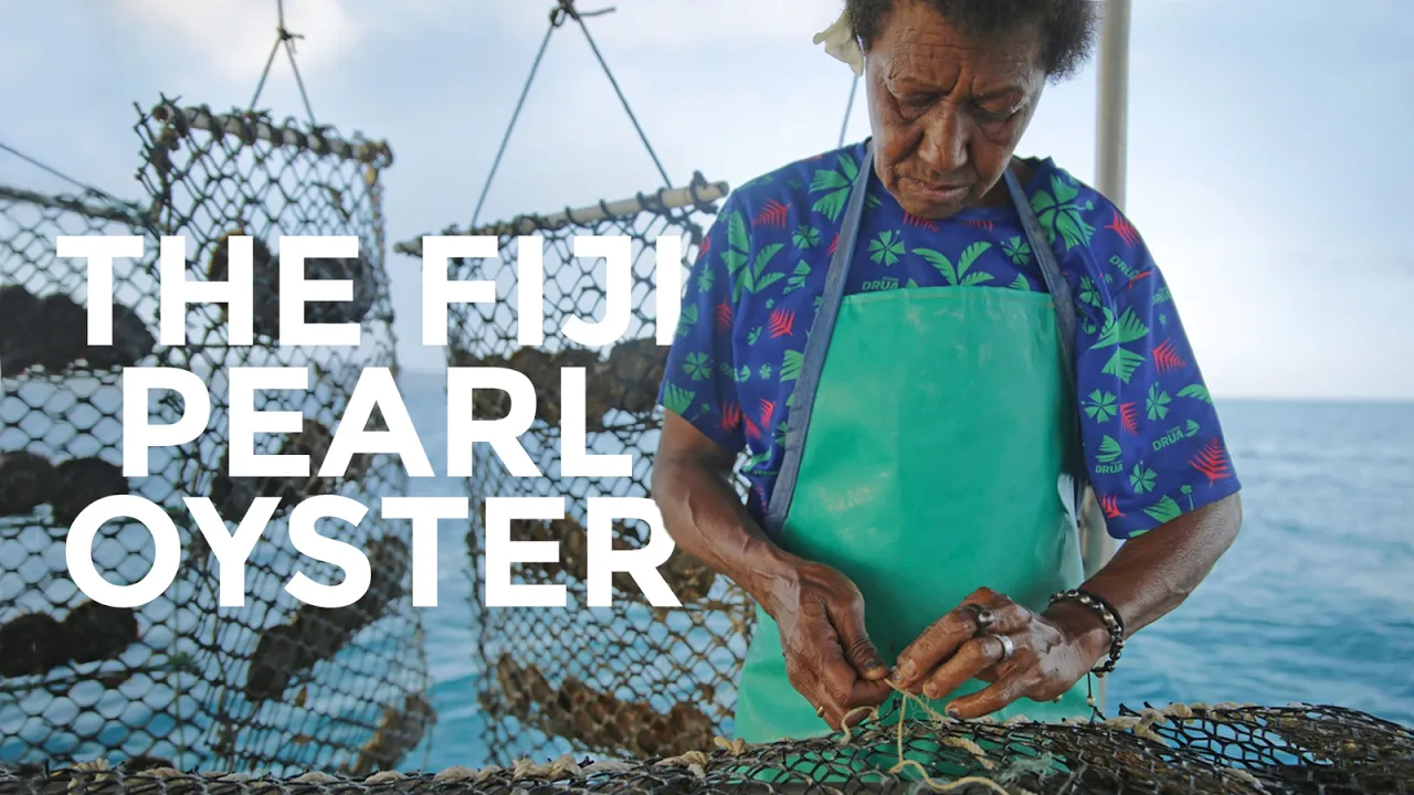 Youtube Thumbnail 724d583779675978655955 