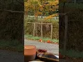You can find this cottage pumpkin patch window bookmark and more in my shop RusticPagesCo on Etsy