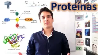 Proteins and Amino acids. AN ENTIRE MONTH OF CLASS IN 10 MINUTES