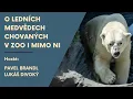 Download Lagu Lední medvědi a Arktida: O ledních medvědech chovaných v zoo i mimo ni