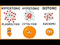 Hypertonic Hypotonic and Isotonic Solutions