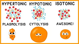 Download Hypertonic, Hypotonic and Isotonic Solutions! MP3