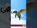 Download Lagu #FlyingElephant #elephant #elephants #Watch the Incredible Flying Elephant A Sight You've Never Seen