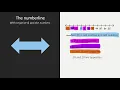 The number line positive and negative numbers increase and decrease