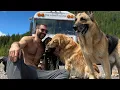 I Quit My 6-Figure Job to Rescue Animals