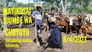mayikusai ujumbe wa choyoyo mbasha studio 9 4 2023