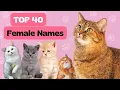 Top 40 Most Popular Female Cat Names - Unique Girl Cat Names Ideas