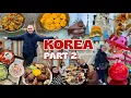 ANG PINAKA-AABANGAN KOREA VLOG PART 2