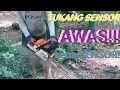Lagu SENSOR-➡️TUKANG SENSOR✅//KAYU,LAGU KARYA SENDIRI//LAGU CIPTAAN SENDIRI//LAGU BUATAN SENDIRI.