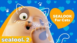 SEALOOK for Cats 🐾 | 1 Hour of Pure Cat Entertainment 🐱 | SEALOOK Official