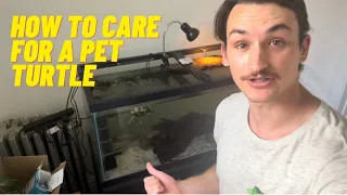 How To Care for a Pet Turtle Are They High Maintenance