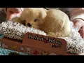 Perfect Petzzz Pets Mini Realistic Sleeping Dog Toy Review
