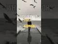 Download Lagu What next in 2025 | Year 2025 #motivation #shorts #growth #mindset #status #trend #success #quotes