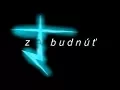 z A budnut 1000 Subs