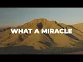 What A Miracle - Elevation Worship feat. Leeland - Lyric Video