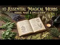 10 Essential Magical Herbs for Witchcraft Herbal Magic Spells Guide