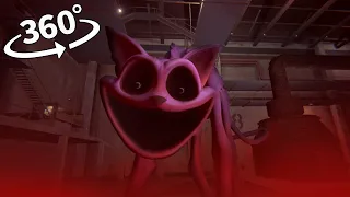 CATNAP MOVIE Collection 360 VR 