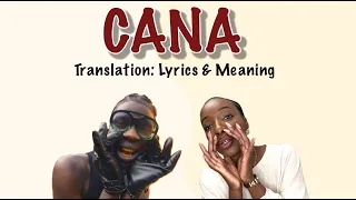 seyi vibez cana afrobeats translation lyrics and meaning 