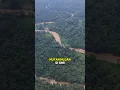 Download Lagu Ini Alasan Hutan Hujan Terbanyak Ada di Sekitar Khatulistiwa! 🌿🌍