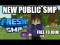 New Public Minecraft SMP free to join