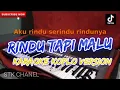 Download Lagu AKU RINDU SERINDU RINDUNYA (RINDU TAPI MALU) KARAOKE DANGDUT KOPLO STK CHANEL
