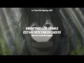Download Lagu Tensei Shitara Ken Deshita Ending Full | more＜STRONGLY - Sub Español『AMV』