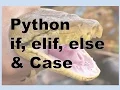 140-Python - if elif else CASE