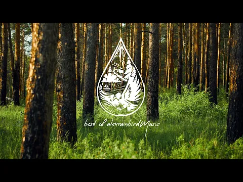 Best Indie Music of 2025 • Top 50 Songs 🎉 (An alexrainbirdMusic Playlist)