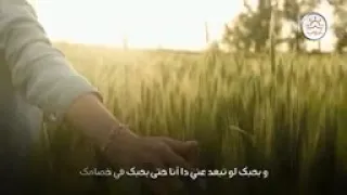 حبيتك وانتا قريب منى انغام حالة واتس 