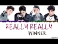 WINNER - REALLY REALLY Color Coded