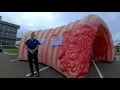MNGI Digestive Health Super Colon Virtual Tour