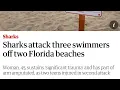 Walton county shark attacks Florida 2024