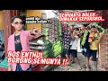 Download Lagu ENTHUL JADI SULTAN !! Borong apapun buat nyenengin tim GWSM