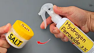 mix salt and hydrogen peroxide the jaw dropping reaction you have to see