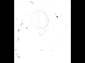 Timelapse Drawings 1 (Nov 2024 - Jan 2025)
