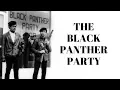 History Brief the Black Panther Party