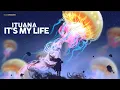 Download Lagu Ituana - It's My Life (Bossa Nova Lounge)